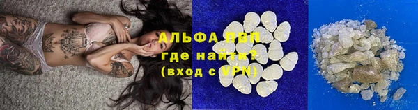 шишки Семикаракорск