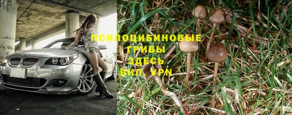spice Каменногорск