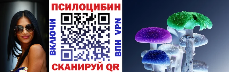 Купить где  Верхоянск  Псилоцибиновые грибы Magic Shrooms 